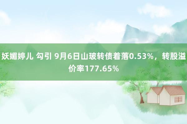 妖媚婷儿 勾引 9月6日山玻转债着落0.53%，转股溢价率177.65%