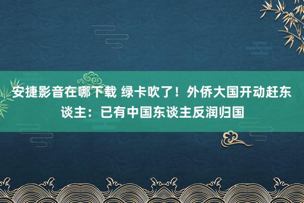 安捷影音在哪下载 绿卡吹了！外侨大国开动赶东谈主：已有中国东谈主反润归国