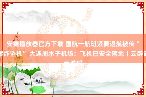 安捷播放器官方下载 国航一航班紧要返航被传“爆炸坠机” 大连周水子机场：飞机已安全落地丨云辟谣