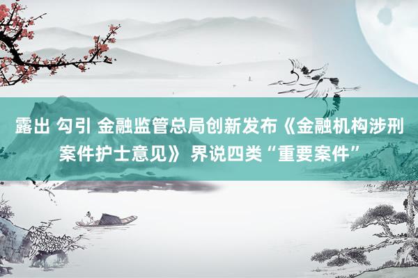 露出 勾引 金融监管总局创新发布《金融机构涉刑案件护士意见》 界说四类“重要案件”