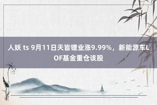 人妖 ts 9月11日天皆锂业涨9.99%，新能源车LOF基金重仓该股