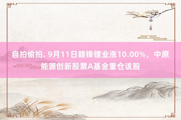 自拍偷拍. 9月11日赣锋锂业涨10.00%，中原能源创新股票A基金重仓该股