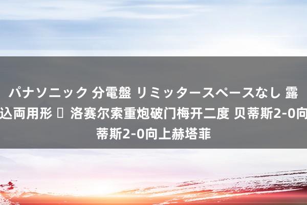 パナソニック 分電盤 リミッタースペースなし 露出・半埋込両用形 ⚡洛赛尔索重炮破门梅开二度 贝蒂斯2-0向上赫塔菲