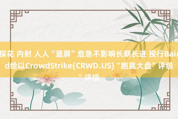 探花 内射 人人“蓝屏”危急不影响长期长进 投行Baird给以CrowdStrike(CRWD.US)“跑赢大盘”评级