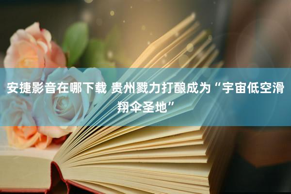 安捷影音在哪下载 贵州戮力打酿成为“宇宙低空滑翔伞圣地”