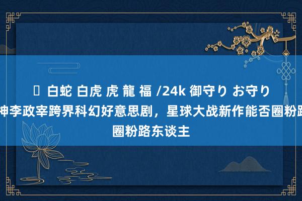 ✨白蛇 白虎 虎 龍 福 /24k 御守り お守り 韩剧男神李政宰跨界科幻好意思剧，星球大战新作能否圈粉路东谈主