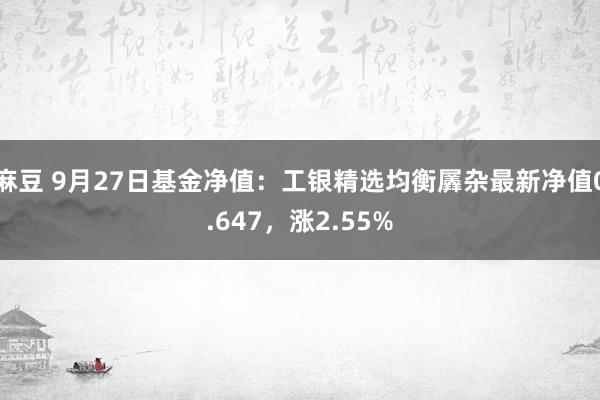 麻豆 9月27日基金净值：工银精选均衡羼杂最新净值0.647，涨2.55%