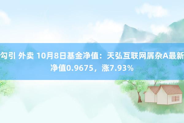 勾引 外卖 10月8日基金净值：天弘互联网羼杂A最新净值0.9675，涨7.93%