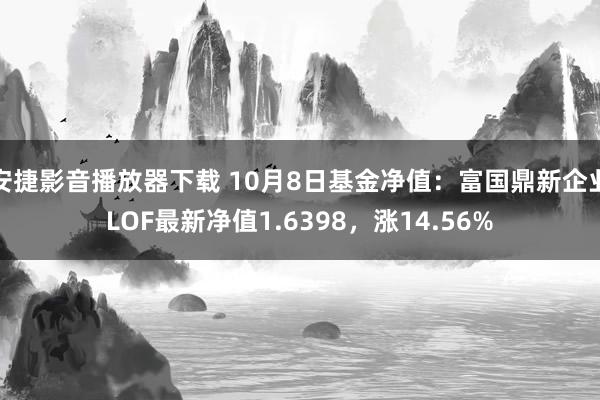 安捷影音播放器下载 10月8日基金净值：富国鼎新企业LOF最新净值1.6398，涨14.56%