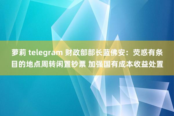 萝莉 telegram 财政部部长蓝佛安：荧惑有条目的地点周转闲置钞票 加强国有成本收益处置