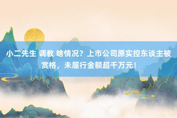 小二先生 调教 啥情况？上市公司原实控东谈主被赏格，未履行金额超千万元！