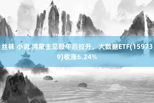 丝袜 小说 鸿蒙主见股午后拉升，大数据ETF(159739)收涨6.24%