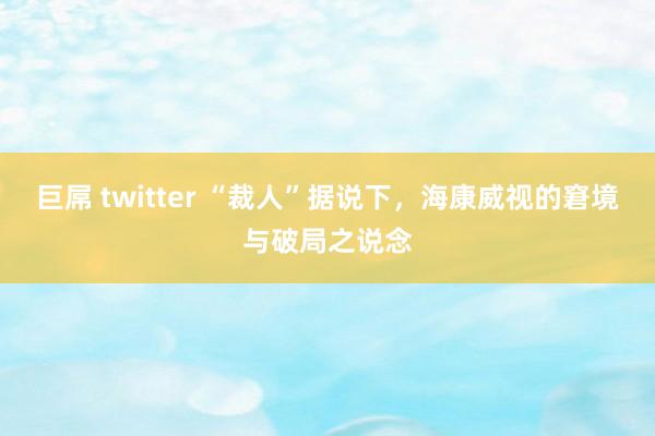 巨屌 twitter “裁人”据说下，海康威视的窘境与破局之说念