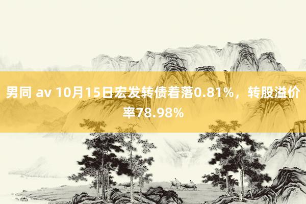 男同 av 10月15日宏发转债着落0.81%，转股溢价率78.98%