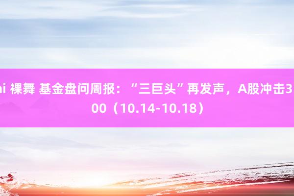 ai 裸舞 基金盘问周报：“三巨头”再发声，A股冲击3300（10.14-10.18）