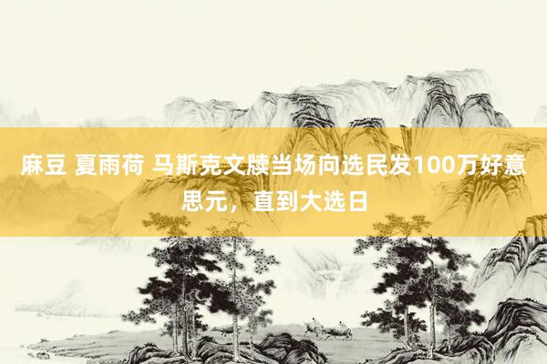 麻豆 夏雨荷 马斯克文牍当场向选民发100万好意思元，直到大选日