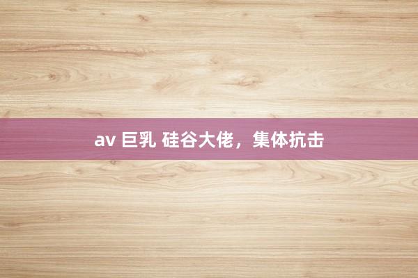 av 巨乳 硅谷大佬，集体抗击