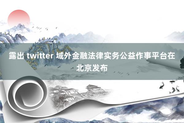 露出 twitter 域外金融法律实务公益作事平台在北京发布