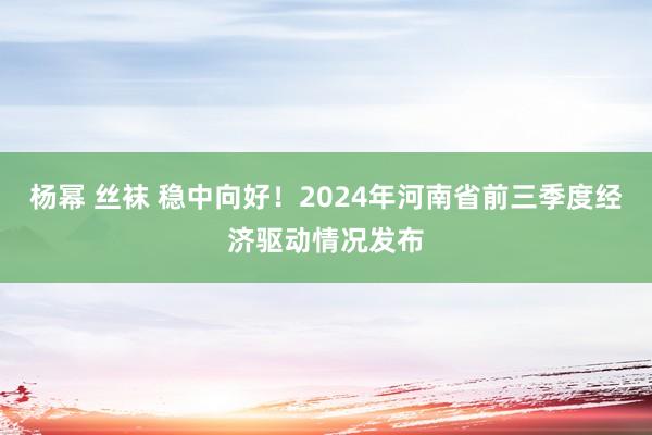 杨幂 丝袜 稳中向好！2024年河南省前三季度经济驱动情况发布