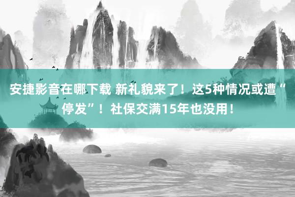 安捷影音在哪下载 新礼貌来了！这5种情况或遭“停发”！社保交满15年也没用！