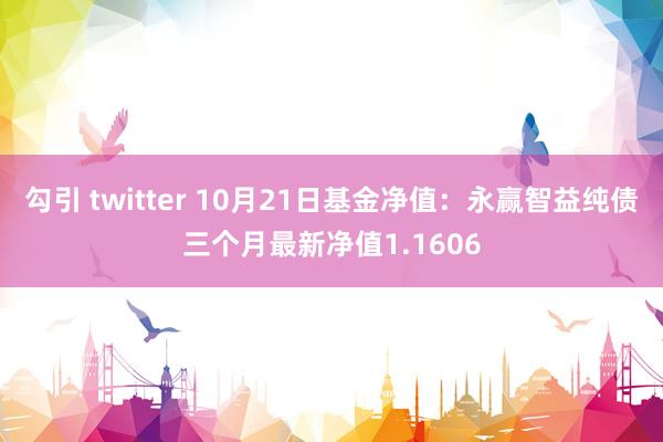 勾引 twitter 10月21日基金净值：永赢智益纯债三个月最新净值1.1606