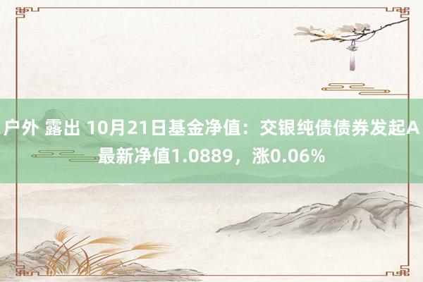 户外 露出 10月21日基金净值：交银纯债债券发起A最新净值1.0889，涨0.06%