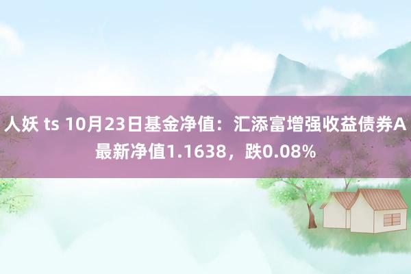 人妖 ts 10月23日基金净值：汇添富增强收益债券A最新净值1.1638，跌0.08%