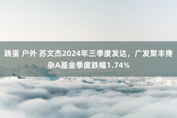 跳蛋 户外 苏文杰2024年三季度发达，广发聚丰搀杂A基金季度跌幅1.74%