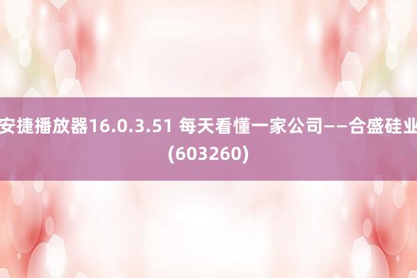 安捷播放器16.0.3.51 每天看懂一家公司——合盛硅业(603260)