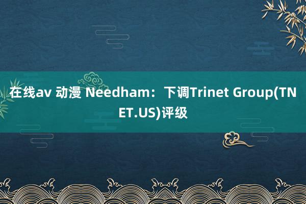 在线av 动漫 Needham：下调Trinet Group(TNET.US)评级