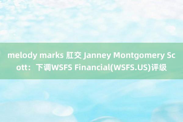 melody marks 肛交 Janney Montgomery Scott：下调WSFS Financial(WSFS.US)评级