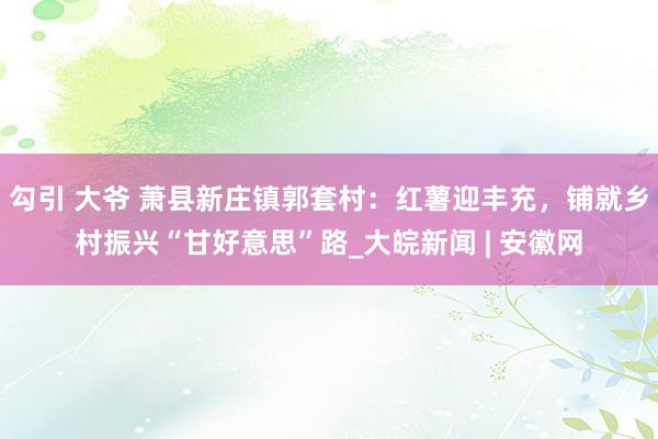 勾引 大爷 萧县新庄镇郭套村：红薯迎丰充，铺就乡村振兴“甘好意思”路_大皖新闻 | 安徽网