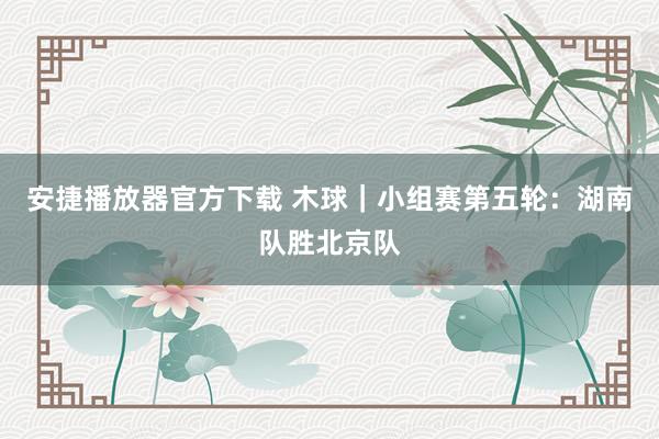 安捷播放器官方下载 木球｜小组赛第五轮：湖南队胜北京队