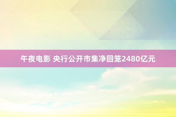 午夜电影 央行公开市集净回笼2480亿元