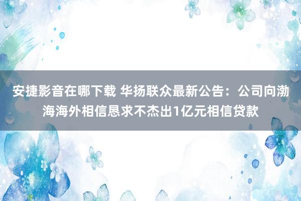 安捷影音在哪下载 华扬联众最新公告：公司向渤海海外相信恳求不杰出1亿元相信贷款