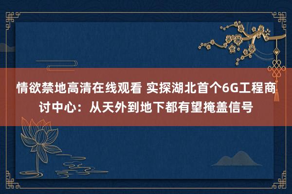 情欲禁地高清在线观看 实探湖北首个6G工程商讨中心：从天外到地下都有望掩盖信号