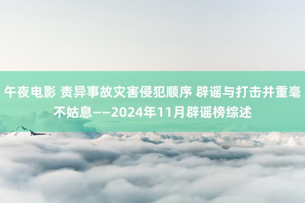 午夜电影 责异事故灾害侵犯顺序 辟谣与打击并重毫不姑息——2024年11月辟谣榜综述