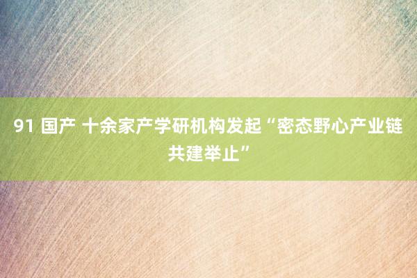 91 国产 十余家产学研机构发起“密态野心产业链共建举止”