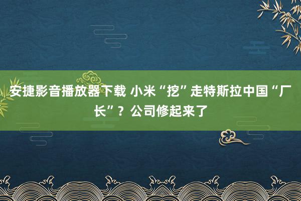 安捷影音播放器下载 小米“挖”走特斯拉中国“厂长”？公司修起来了