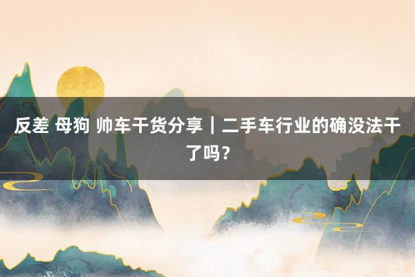 反差 母狗 帅车干货分享｜二手车行业的确没法干了吗？