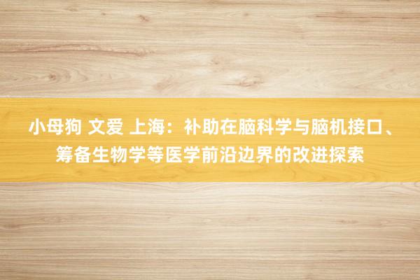 小母狗 文爱 上海：补助在脑科学与脑机接口、筹备生物学等医学前沿边界的改进探索