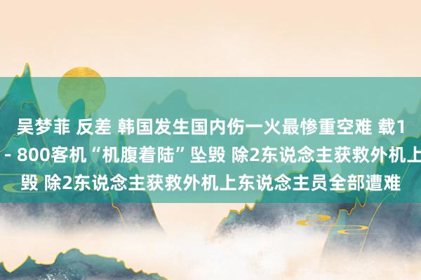 吴梦菲 反差 韩国发生国内伤一火最惨重空难 载181东说念主波音737－800客机“机腹着陆”坠毁 除2东说念主获救外机上东说念主员全部遭难