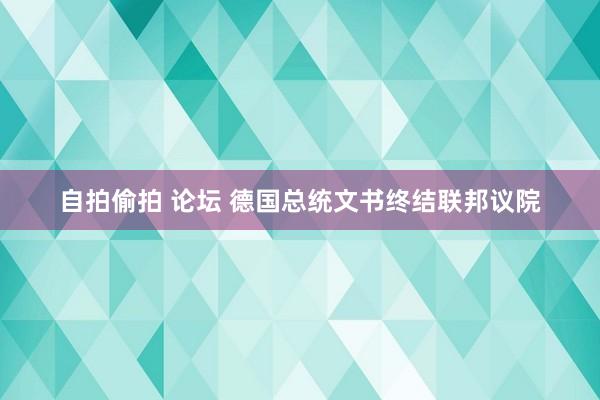 自拍偷拍 论坛 德国总统文书终结联邦议院