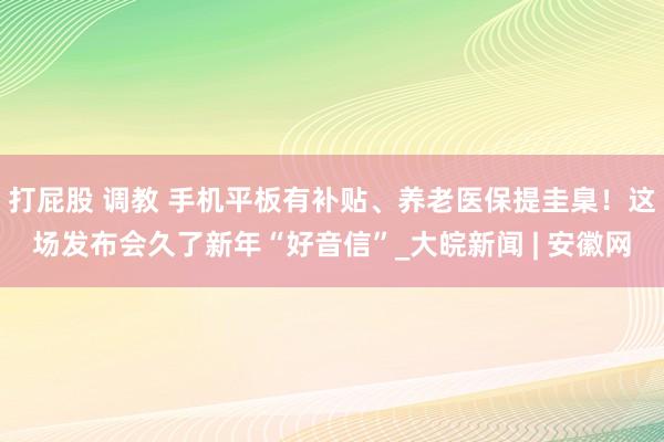 打屁股 调教 手机平板有补贴、养老医保提圭臬！这场发布会久了新年“好音信”_大皖新闻 | 安徽网