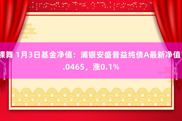 裸舞 1月3日基金净值：浦银安盛普益纯债A最新净值1.0465，涨0.1%