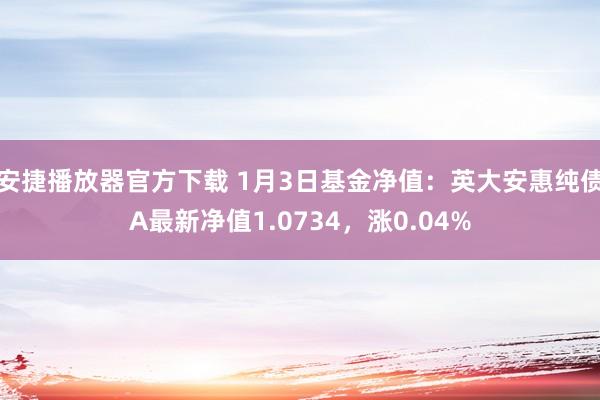 安捷播放器官方下载 1月3日基金净值：英大安惠纯债A最新净值1.0734，涨0.04%