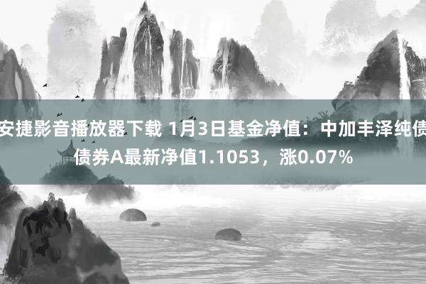 安捷影音播放器下载 1月3日基金净值：中加丰泽纯债债券A最新净值1.1053，涨0.07%