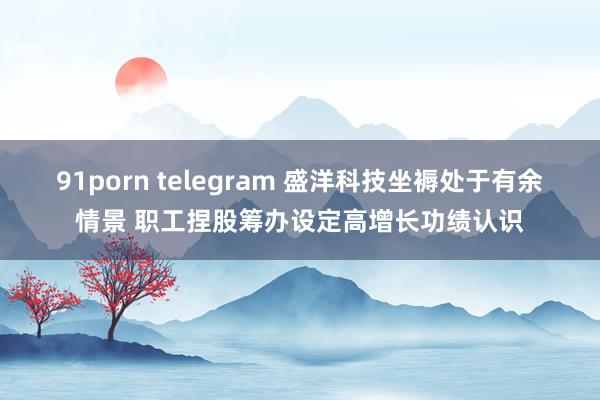 91porn telegram 盛洋科技坐褥处于有余情景 职工捏股筹办设定高增长功绩认识