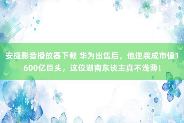 安捷影音播放器下载 华为出售后，他逆袭成市值1600亿巨头，这位湖南东谈主真不浅薄！