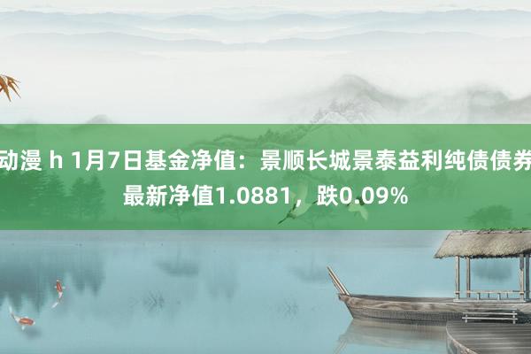 动漫 h 1月7日基金净值：景顺长城景泰益利纯债债券最新净值1.0881，跌0.09%